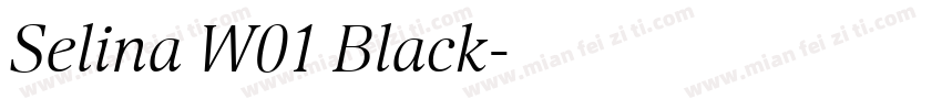 Selina W01 Black字体转换